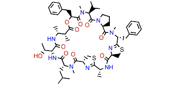 Grassypeptolide B